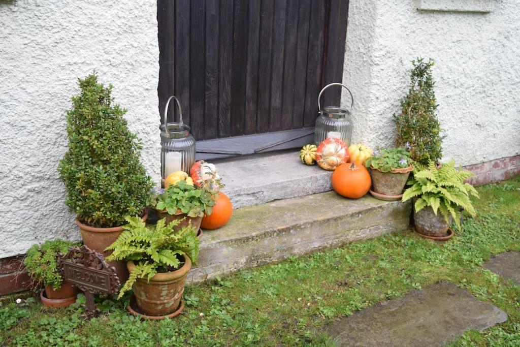 Cedra Cottage - Vintage Country Hideaway 엑스민스터 외부 사진